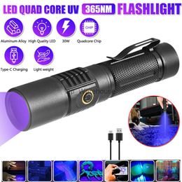 Torches 365nm UV Flashlight Black Mirror Ultra Violet Light Banknote Jade Inspection Torch Curing Colloidal Pet Moss Cat Stains Detector HKD230902