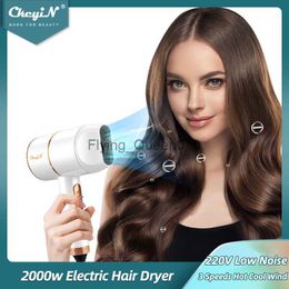 Electric Hair Dryer CkeyiN 2000W Electric Hair Dryer Low Noise Blow Dryer Mini Size Household Hairdryer with Air Collecting Nozzle 3 Wind Speed 220V HKD230902