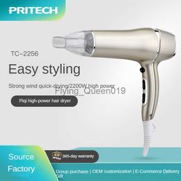 Electric Hair Dryer Professional 2200W High Power Negative Ion Hair Dryer With Air Collecting Nozzle 3 Speed 3 Heat Setting Blow Dryer Hair Styling HKD230902
