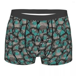 Underpants Turquoise Green Cheeked Conures Parrot Bird Homme Panties Male Underwear Ventilate Shorts Boxer Briefs