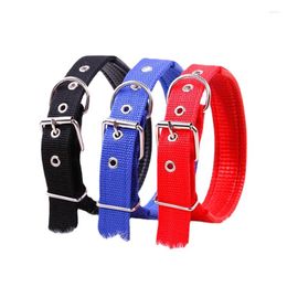 Dog Collars CMBJX Nylon Pet Collar European And American Color Teddy Golden Chain Set Foam Cat