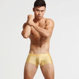 Underpants SEOBEAN Mens Low Rise Nylon Sexy Boxer Trunk Underwear