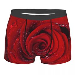Underpants Men's Panties Boxers Underwear Red Rose Petals With Rain Drops Sexy Male Shorts