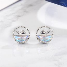 Stud Earrings 925 Silver Needle Zirconl Whale For Women Girls Elegant Gifts Jewellery Pendientes Brincos EH2073