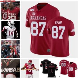 Arkansas Razorbacks Football jersey 26 Christian Ford 99 Kaleb James 14 Bryce Stephens 8 Ty Washington 8 Jayden Johnson 11 LaDarrius Bishop 55 Beaux Limmer 23 Dean