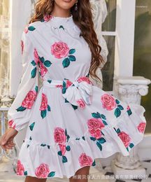 Casual Dresses Womens 2023 Summer Fashion Rose Floral Print Tie Detail Ruffle Hem Mock Neck Long Sleeve Daily Mini A Line Dress