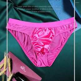 Underpants Sexy Men Mesh Satin Briefs Perspective Underwear Panties Low Waist Breathable Bikini Pouch Men's Erotic Lingerie