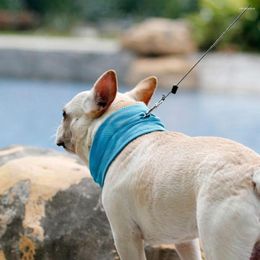Collari per cani 2023 con foro traspirante Previene il calore Prevenzione dei colpi di sole Sciarpa per animali domestici Bavaglino Collare di raffreddamento istantaneo Ghiaccio