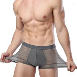 Underpants Ice Silk Breathable Men Underwear Transparent Boxershorts Ultra Thin Boxer Hombre Mens Pants Boxers Gift Man