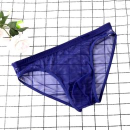 Underpants Ultra-thin Briefs Men Underwear Transparent Mesh Low Waist Solid Color Panties Sexy Sheer Gauze Male Plus Size