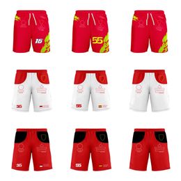 2023 New f1 Team Logo Shorts Formula One Team Custom Shorts Extra Large