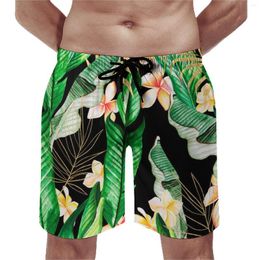Men's Shorts Board Jungle Palm Leaves Hawaii Swimming Trunks Tropical Forest Flower Print Quick Dry Sports Oversize Beach