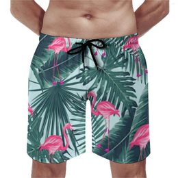 Men's Shorts Abstract Flamingo Gym Tropic Palm Leaf Print Classic Beach Short Pants Running Surf Comfortable Graphic Swimming Trunks