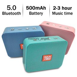 Portable Speakers TG166 Mini Portable Bluetooth 5.0 Speaker Outdoor Waterproof Wireless Column Subwoofer Support USB TF Card Microphone Hands-Free HKD230904