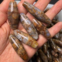 Loose Gemstones 10pcs/lot Natural Agate Snail Conch Dzi Bead Brown Colour With Eyes Sea Patterns Rare Amulet