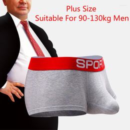 Underpants Brand Underwear Men Panties Plus Size 6XL Sexy Elephant Nose Boxers Male Boxershorts Man Comfort Penis Pocket