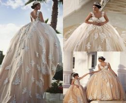 2023 Gorgeous Ballgown Wedding Dresses Bridal Gown Lace Applique Sweep Train Tulle Straps Custom Made Plus Size Vestidos De Novia 401 401