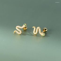 Stud Earrings 925 Silver Needle Piercing Zircon Snake Screw Earring For Women Girls Cute Party Jewellery Pendientes Accessories EH172