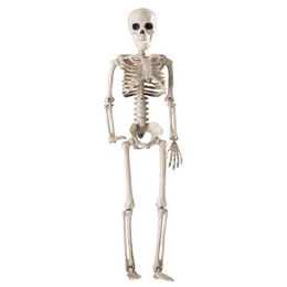 Decorative Objects Figurines 36cm Lifelike Human Bones Halloween Skull Skeleton Decoration Anatomical Model 230901