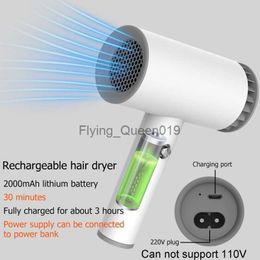 Electric Hair Dryer Universal AC 220V USB Rechargeable Hot and Cold Wind Travel Blow for Art Painting Home Outdoor more HKD230903