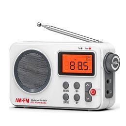 Digital AM FM Radio Audio Receiver Music Player w/LCD Screen Clear Loud Speaker 3.5MM Earphone Plug Stretchable Antenna