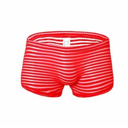 Mens Underwear Striped Boxer Seamless Slip Homme Men Panties Sexy Transparent Penis Underwear Breathable See Through Underpants2556