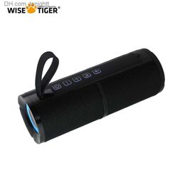 Portable Speakers WISE TIGER FM Radio Speaker Bluetooth Speaker BT5.3 Portable Bluetooth Speaker with RGB Light USB TF Card Slot TWS Dual Pairing Q230904