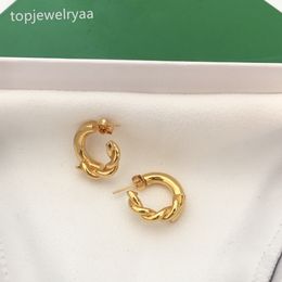 Luxury Designer Earrings for Ladies Gold and Silver Shiny Brand Earrings Studs Fashion s Party Jewellery for every occasion