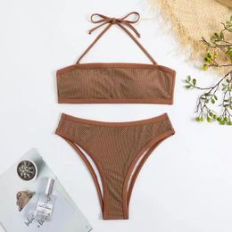 European and American New Pit Stripe Brown Bikini Split Swimwear Sexy Backless Bikini Women's Swimwear