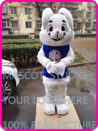 EASTER bugs mascot bunny rabbit costume custom fancy costume anime kits mascotte fancy dress carnival costume41017