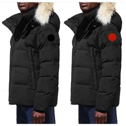 Piumini da uomo invernali Vera pelliccia di coyote Designer Homme Puffer Giacca a vento Jassen Capispalla Cappotto con cappuccio Fourrure Manteau