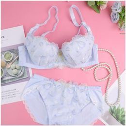 Bras Sets Beautiful Korean Underwear Sexy Japanese White Blue Panties Push Up Bra Set Lace Embroidery Clothes Kawaii Lingerie Femm258G