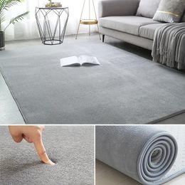 Carpets Grey Rugs Coral Velet Living Room Carpet Nonslip Bedside Rugs Large Soft Floor Rug Children Game Mat Rectangular Home Decoratio 230904