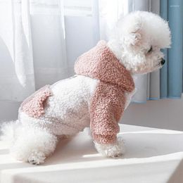Dog Apparel Stylish Coat Washable Comfortable Pocket Decor Two-legged Fleece Hoodie Winter Pet Clothes Jacket Keep Warm