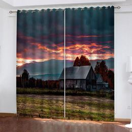 Curtain Custom Curtains Natural Wind Shadow Painting Cottage Country Po 3D For Living Room Window