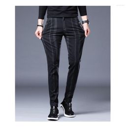 Men's Pants Spring And Autumn Stretch Stripe Casual Trend Small Foot Tight Breathable Western L0016