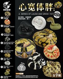 Blind box Animal Planet A Series of Laugh and Grow Fat 05 Box Snake Boa Reptiles Collector Decor Educational Kids Toy Gift 230906