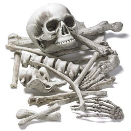 Other Event Party Supplies 19pcs Bones Set Scary Artificial Resin Human Skeletons Broken Bone Skull for Haunted Home Halloween Party Props Decoration 230905