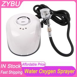 Water therapy skin rejuvenation moisturizing spray equipment facial oxygen jet Spraying Gun Skin Moisturizing Beauty Apparatus Steam Injector Graffiti Tools