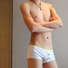 Underpants Wangjiang Boxershorts Men Cotton Underwear Sexy Men's U Boxer Shorts Breathable Panties Intimate Open Front White X343K
