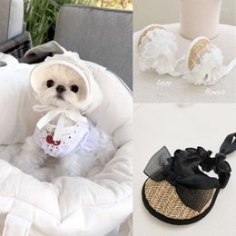 Dog Apparel INS Fashion Lace Straw Sunshade Hat Pet Cat Tied Rope Pig Nose Buckle Adjustable Accessories For Small Dogs