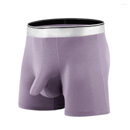 Underpants Modal Soft Breathable Boxers Men Underwear Long Legs Boxer Trunk Sport Bulge Pouch Panties Elastic Sexy Boxershorts Male