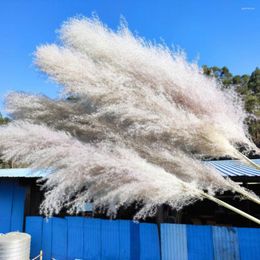 Decorative Flowers 6pcs Natural Dried Large Pampas Grass For Wedding Decoration Decor Boho Home Garden DIY Bouquet Gift Dry Flower