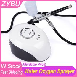 Facial Moisture Spray Machine Oxygen Spraying Gun Beauty Care Oxygen Spray Acne Treatment Rejuvenation Skin Moisturising Steam Injector Beauty Apparatus