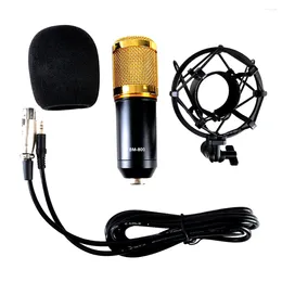 Microphones Studio Broadcasting Webcast Podcast Condenser Microphone Mic With Mount(Black Golden)