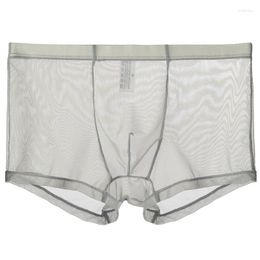 Underpants Transparent Boxers For Men See Through Ultra-thin Breathable Underwear Male Sexy Low Waist Panties Lingerie Intimates