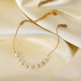 Link Bracelets Natural Freshwater Pearl Stainless Steel Bracelet Bangles Jewellery Women Gift Dainty PVD 18k Gold Chain