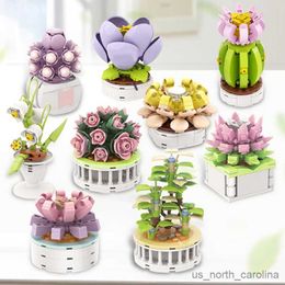 Blocks Block City DIY Potted Plants Succulents Cactus Tree Gardens Romantic Building Blocks Model Kids Sets Kits Toys R230907