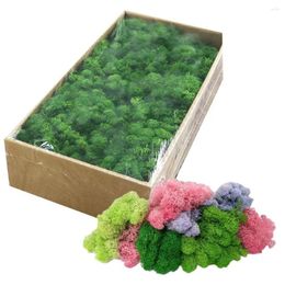 Decorative Flowers Artificial Green Plants Eternal Life Moss Grass Home Living Room Garden Decoration Mini Landscape Fake DIY Crafts 20/40g