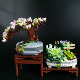 Blocks Ideas Diy Cherry Tree Model Building Blocks Granular Succulent Potted Plants Assembly Toys for Children Gifts R230907